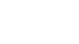 seiko